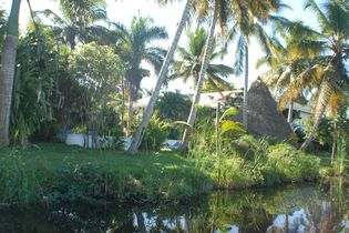 Apart Hotel Ali s Surfcamp